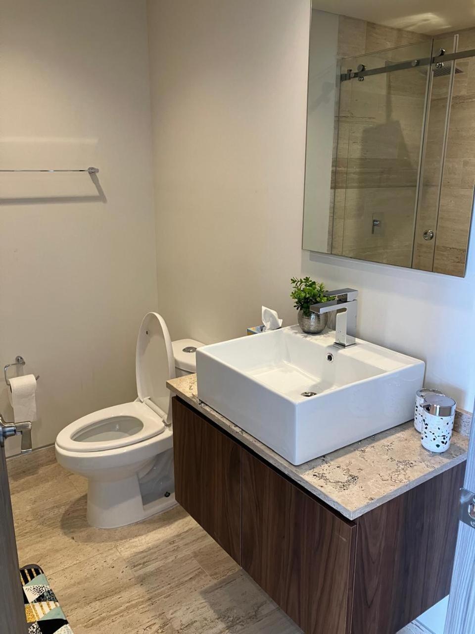 Loft Moderno Ejecutivo Cdmx Apartment